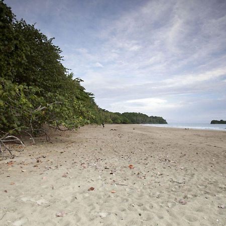 Azania Bungalows Puerto Viejo de Talamanca ภายนอก รูปภาพ