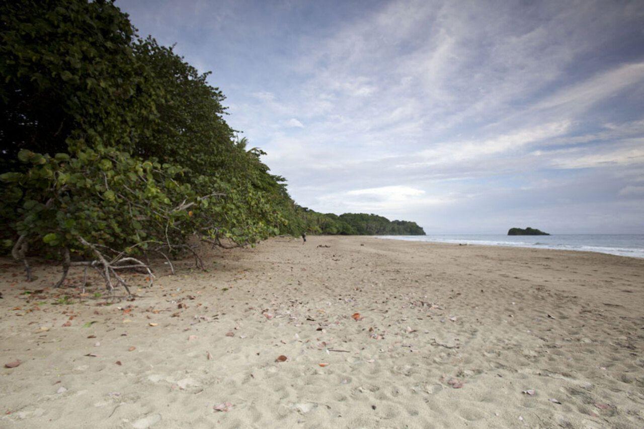 Azania Bungalows Puerto Viejo de Talamanca ภายนอก รูปภาพ