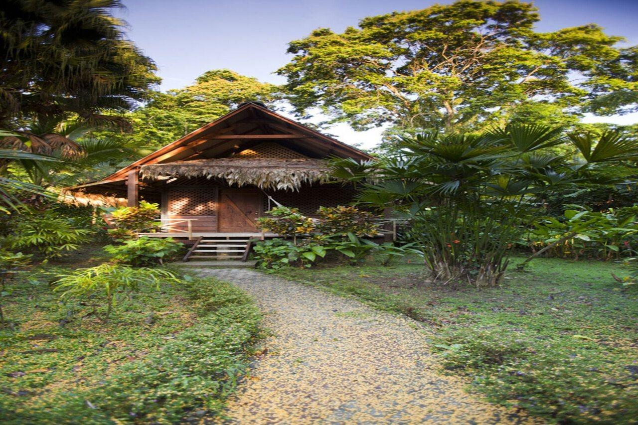 Azania Bungalows Puerto Viejo de Talamanca ภายนอก รูปภาพ