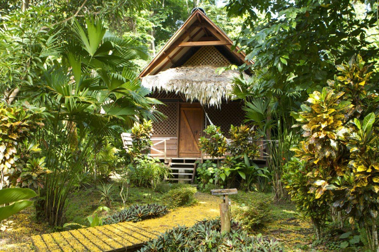 Azania Bungalows Puerto Viejo de Talamanca ภายนอก รูปภาพ