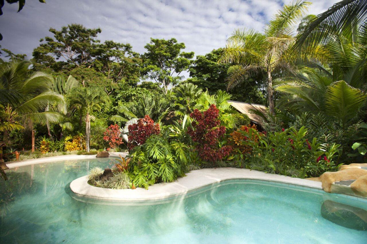 Azania Bungalows Puerto Viejo de Talamanca ภายนอก รูปภาพ