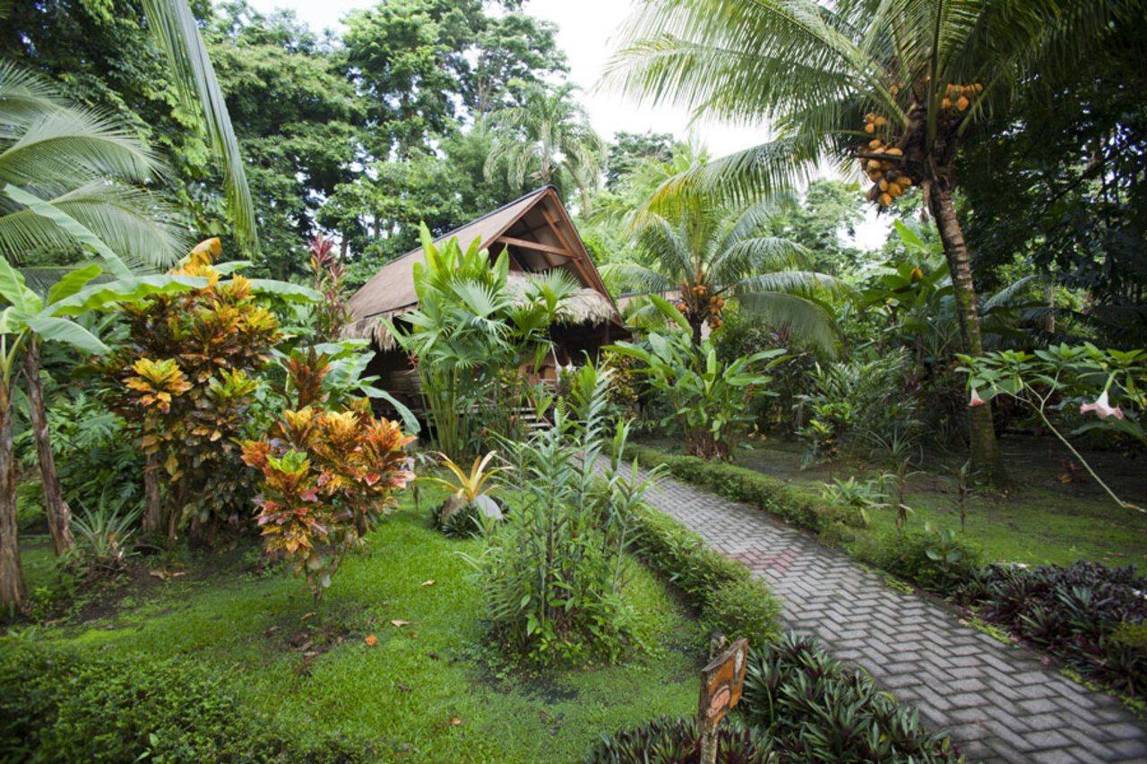 Azania Bungalows Puerto Viejo de Talamanca ภายนอก รูปภาพ