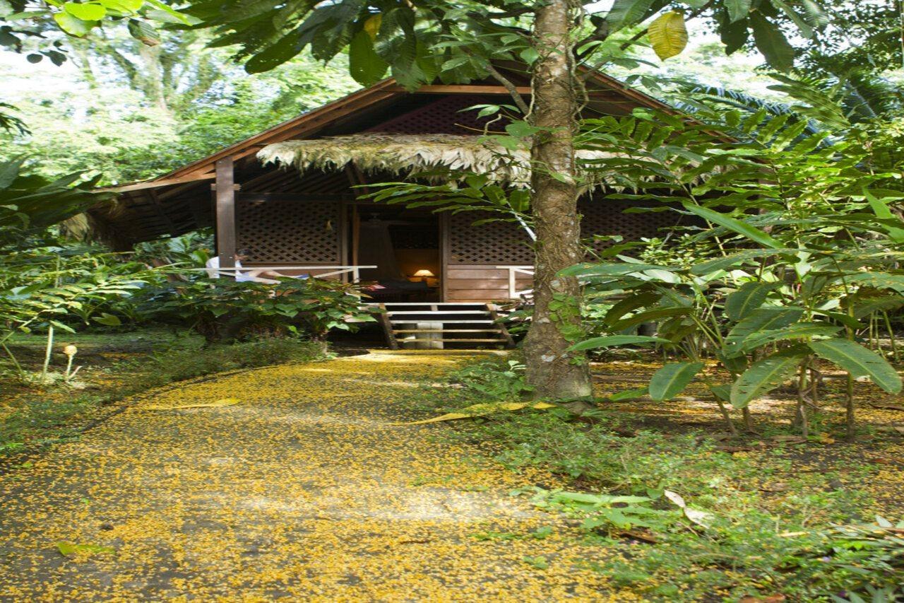 Azania Bungalows Puerto Viejo de Talamanca ภายนอก รูปภาพ