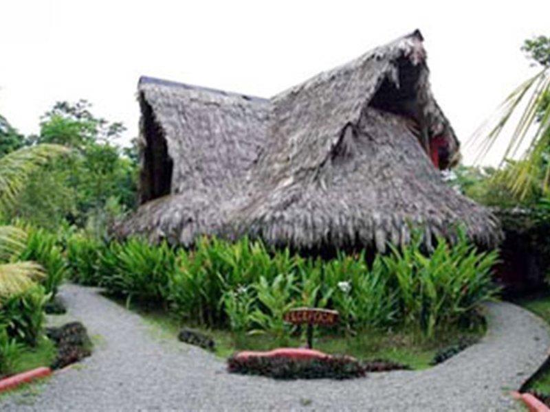Azania Bungalows Puerto Viejo de Talamanca ภายนอก รูปภาพ