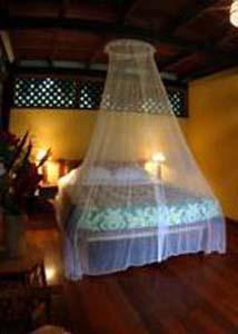 Azania Bungalows Puerto Viejo de Talamanca ภายนอก รูปภาพ